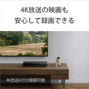 SONY 録画用128GB(4層) 1-4倍速対応 BD-R XLブルーレイディスク 1枚入り BNR4VAPJ4-イメージ5