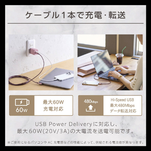 エレコム ILMF Hi-Speed USBケーブル(USB Type-C - USB Type-C/認証品/L) ピンク U2C-CCL20NPN-IL-イメージ3