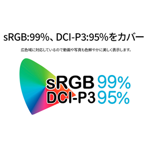 JAPANNEXT 30型ワイド液晶ディスプレイ ブラック JN-VCG30202WFHDR-N-イメージ5