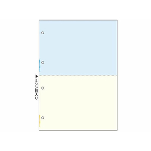 ヒサゴ マルチプリンタ帳票A4カラー2面 4穴 100枚 FCA6872-FSC2011-イメージ2
