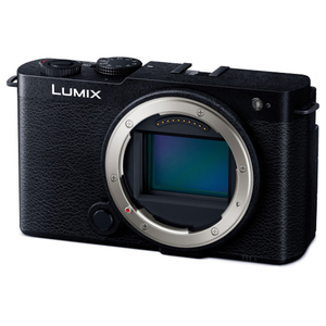 パナソニック デジタル一眼カメラ・ボディ LUMIX K DC-S9-K-イメージ2