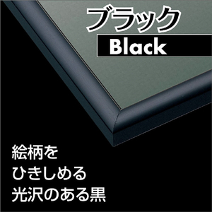 エポック社 アルミ製パズルフレーム パネルマックス パネルナンバー10 ブラック 10 ﾏﾂｸｽNO14ﾌﾞﾗﾂｸ-イメージ2