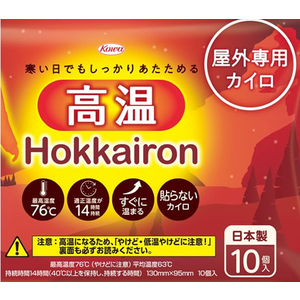 興和 ホッカイロ Hokkairon 高温 貼らない レギュラー 10個 FC110SK-イメージ2