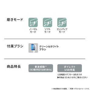 パナソニック 電動歯ブラシ ドルツ 白 EW-DM74-W-イメージ9