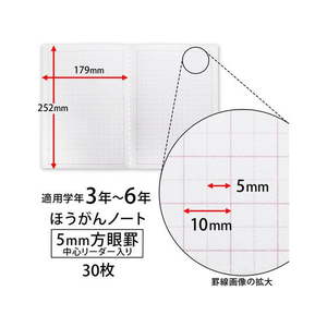 キョクトウ カレッジほうがんノート B5 5mm ブタ F010223-LT01SP-イメージ4