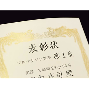 タカ印 金箔賞状用紙 A4判 横書用 白 100枚 FCU7894-10-3161-イメージ5