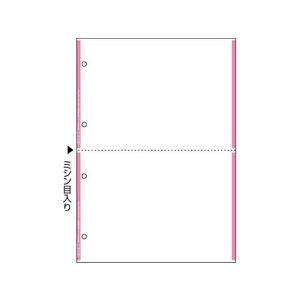 ヒサゴ マルチプリンタ帳票複写 A4 ピンク2面4穴 100 FC062NT-FSCF2209-イメージ2