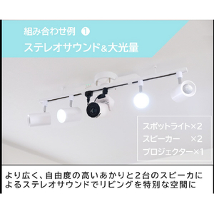 タキズミ ライティングダクトレール Triot ホワイト TDR20025-イメージ9