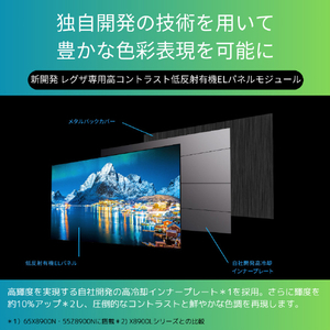 REGZA 65V型4Kチューナー内蔵4K対応有機ELテレビ X8900Nシリーズ 65X8900N-イメージ10