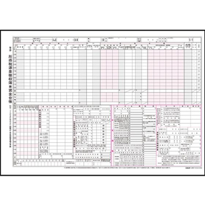 日本法令 源泉徴収簿兼賃金台帳 FCV3016-イメージ1