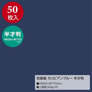 タカ印 包装紙 カリビアンブルー 半才判 50枚 FC667MN-49-1217-イメージ2