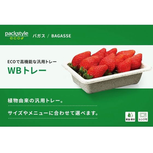 パックスタイル バガス容器 WB 16-11 50枚 FC214SH-00604004-イメージ5