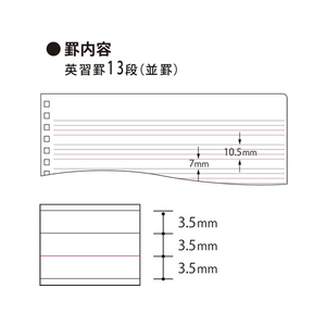 コクヨ 英習帳(ソフトリング) セミB5 英習罫13段 40枚 F109338-ｽ-S801-イメージ3