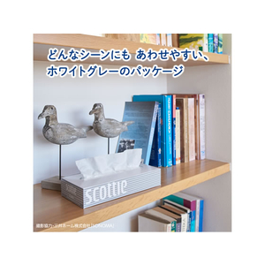 クレシア スコッティ ティシュー 200組 5箱×12パック(1ケース) FC92469-イメージ6