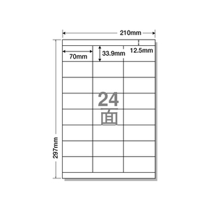 NANA ラベルシールナナワードA4 24面 上下余白 500枚 F815013-LDZ24U-イメージ1
