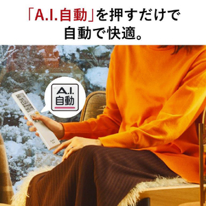 三菱 「標準工事+室外化粧カバー込み」 6畳向け 自動お掃除付き 冷暖房省エネハイパワーエアコン e angle select 霧ヶ峰 MSZ EME3シリーズ MSZ-EM2223E3-Wｾｯﾄ-イメージ9