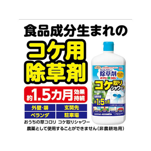 アース製薬 アースガーデン おうちの草コロリ コケ取りシャワー 1000ml F324969-イメージ4