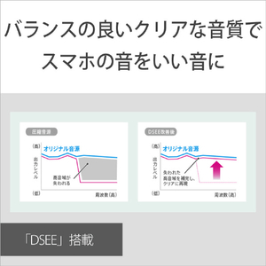 SONY ワイヤレスインイヤーヘッドフォン ブラック WI-C100 B-イメージ5