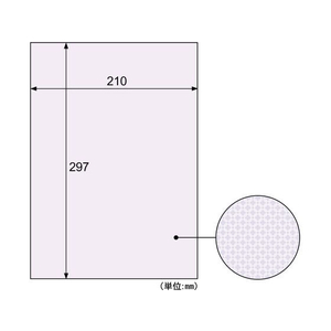 ヒサゴ コピー偽造予防用紙 厚口 A4全面 20枚 FCV1841-OP2420-イメージ2