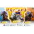 コーエーテクモゲームス Winning Post 10 2024【PS4】 PLJM17333-イメージ6