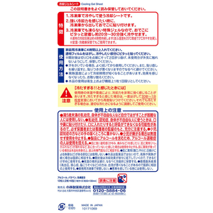 小林製薬 冷凍庫用 熱さまシート ストロング 大人用 12枚 FC12223-イメージ2