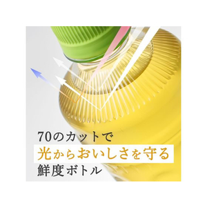 伊藤園 お抹茶入りお～いお茶600ml×24本 FC874PC-イメージ4