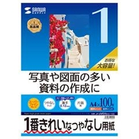 サンワサプライ インクジェット用スーパーファイン用紙(A4サイズ・100枚入り) JP-EM5NA4-100