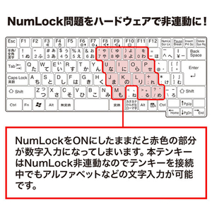 サンワサプライ ワイヤレスUSBテンキー ブラック NT-WL20BK-イメージ5