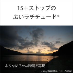 SONY デジタル一眼カメラ・ズームレンズキット VLOGCAM ZV-E1L ブラック ZV-E1L B-イメージ12