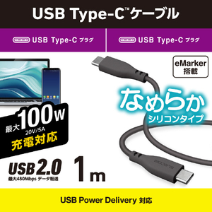 エレコム USB2．0ケーブル(USB Type-C - USB Type-C/100W対応/なめらか)1．0m グレー MPA-CC5PSS10GY-イメージ2