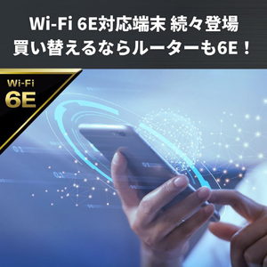 バッファロー AirStation Wi-Fi 6E 対応トライバンドルーター チタニウムグレー WSR-5400XE6-イメージ4