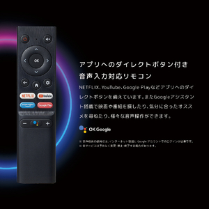 オリオン 42V型フルハイビジョン液晶 チューナーレススマートテレビ SAFH421-イメージ6