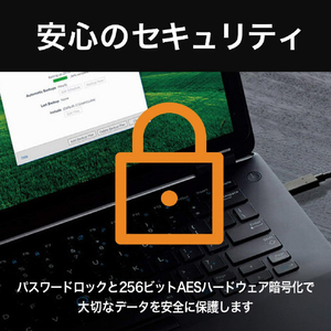 WESTERN DIGITAL 外付けSSD USB-C+USB-A接続(500GB/ポータブル型) My Passport SSD 2020 Hi-Speed ゴールド WDBAGF5000AGD-JESN-イメージ5