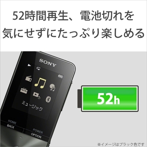 SONY デジタルオーディオプレイヤー(4GB) ウォークマンSシリーズ ブルー NW-S313 L-イメージ4