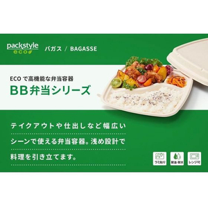 パックスタイル バガス容器 BB弁当 N24-20A ラミ 本体 50枚 FC315SH-00653870-イメージ4