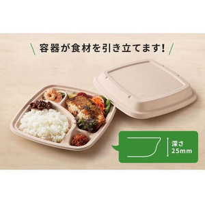 パックスタイル バガス容器 BB弁当 N24-20A ラミ 本体 50枚 FC315SH-00653870-イメージ8