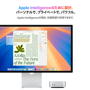 Apple Mac mini： 10コアCPUと10コアGPUを搭載したApple M4チップ, 24GB, 512GB SSD MCYT4J/A-イメージ4