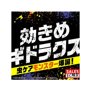 アース製薬 ギドラクス 不快害虫用 スプレー 480mL FC418MN-イメージ2