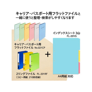 プラス インデックスシート PP製 A4 2穴 3山1組 FCP3063-84841/FL-201IS-イメージ5