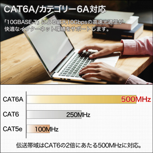 ホーリック LANケーブル UTP カテゴリー6A フラット(3m) パープル LC30-507FB-イメージ3