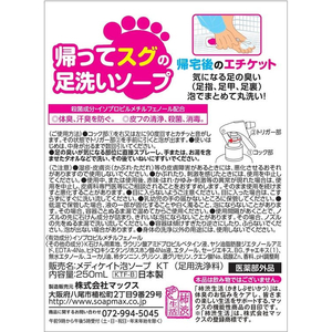 マックス 帰ってスグの足洗いソープ 250mL FCU2501-イメージ2