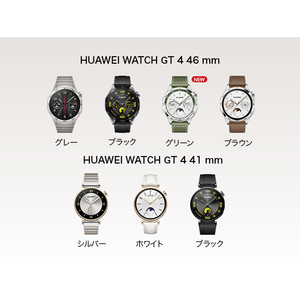 Huawei WATCH GT4 41mm Stainless WATCHGT441MMSTAINLESS-イメージ3