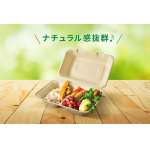 パックスタイル バガス容器 新BBランチ 230-230-3 50枚 FC350SH-00677774-イメージ9