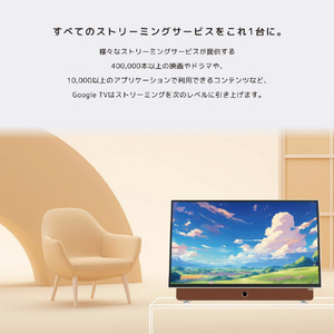 オリオン 24V型フルハイビジョン液晶 チューナーレススマートテレビ PDG241F-イメージ4