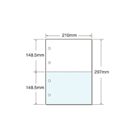 キング商事 マルチプリンタ帳票 A4 カラー 2面 4穴 100枚 F806782-A4CF2-4