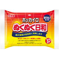 興和 ホッカイロ ぬくぬく日和 貼らない レギュラー 10個 FC24828