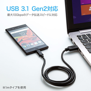 サンワサプライ USB3．1 Gen2 Type C-Aケーブル 0．5m ブラック KU31-CA05-イメージ3