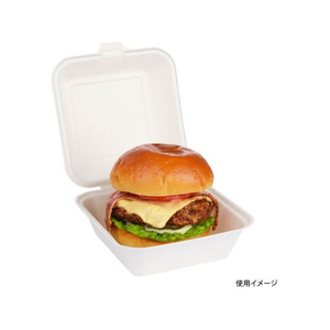 パックスタイル バガス容器 ABランチ 160-160 500枚 FC375SH-00706727-イメージ2