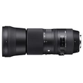 シグマ 望遠ズームレンズ(ニコン用) 150-600mm F5-6.3 DG OS HSM 150600MMﾆｺﾝCONTEMPORARY