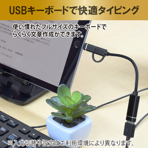 JTT OTG 2IN1ケーブル OTG2IN1C-BK-イメージ4